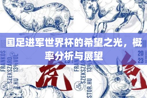 国足进军世界杯的希望之光，概率分析与展望