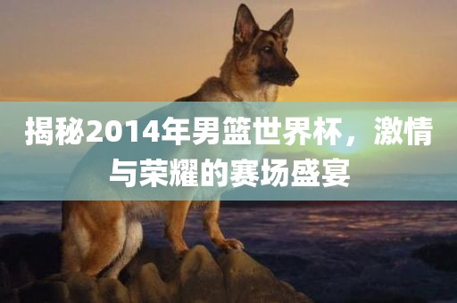揭秘2014年男篮世界杯，激情与荣耀的赛场盛宴漯河市盈旭机械设备有限公司