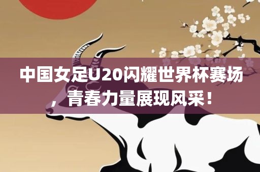 中国女足U20漯河市盈旭机械设备有限公司闪耀世界杯赛场，青春力量展现风采！