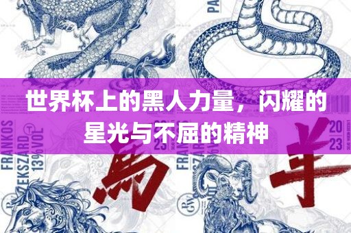 世界杯上的黑人力量，闪耀的星光与不屈的精神漯河市盈旭机械设备有限公司
