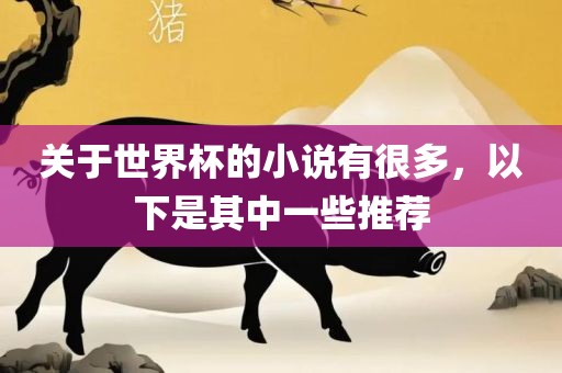 关于世界杯的小说有很多，以下是其中一些推荐漯河市盈旭机械设备有限公司