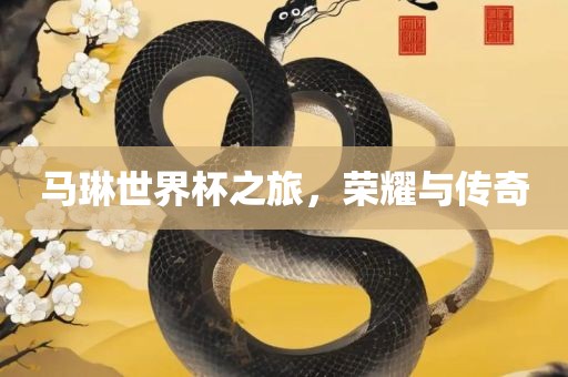 马琳世界杯之旅，荣耀与传奇漯河市盈旭机械设备有限公司