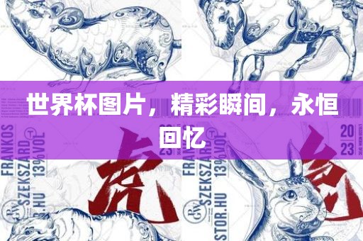 世界杯图片，精彩瞬间，永恒回忆