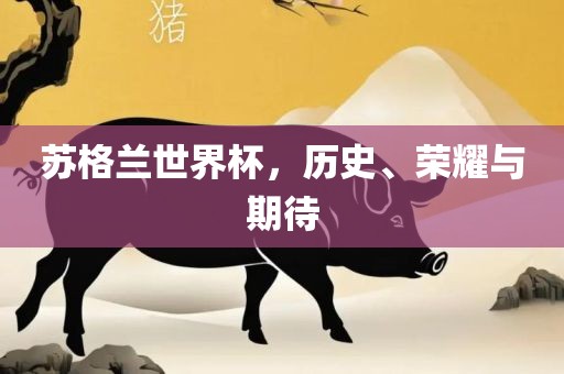 苏格兰世界杯，历史、荣耀与期待