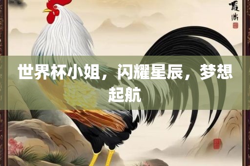世界杯小姐，闪耀星辰，梦想起航