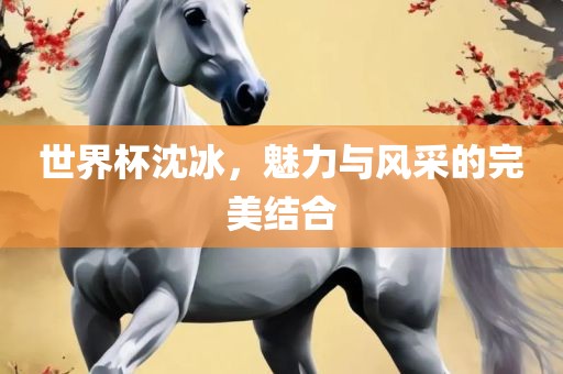 世界杯沈冰，魅力与风采的完美结合漯河市盈旭机械设备有限公司