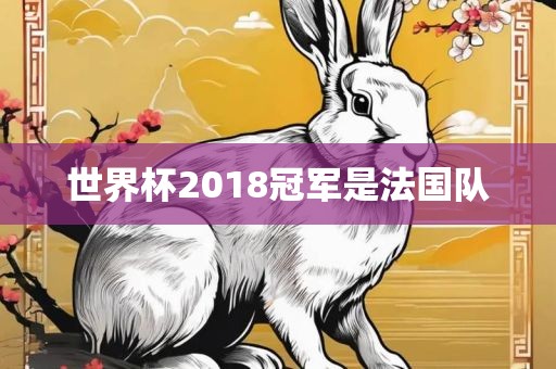 法国队夺冠