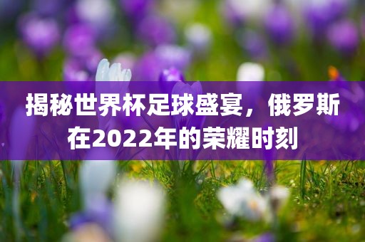 揭秘世界杯足球盛宴，俄罗斯在2022年的荣耀时刻