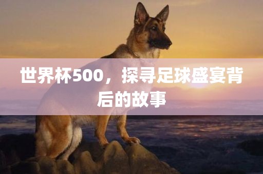 世界杯500，漯河市盈旭机械设备有限公司探寻足球盛宴背后的故事