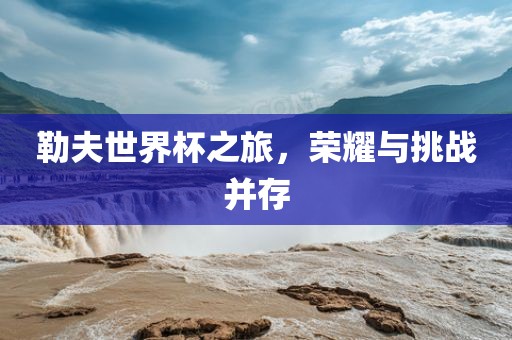 勒夫世界杯之旅，荣耀与挑战并存