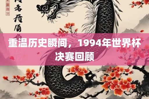 重温历史瞬间，1994年世界杯决赛回顾漯河市盈旭机械设备有限公司