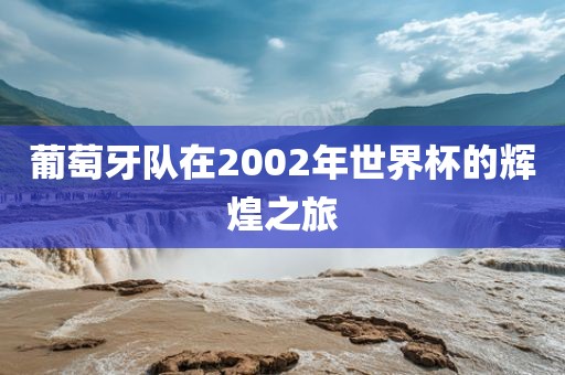 葡萄牙队在2002年世界杯的辉煌之旅漯河市盈旭机械设备有限公司