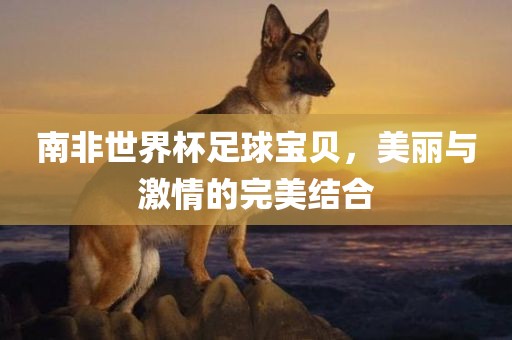 南非世界杯足球宝贝，美丽与激情的完美结合