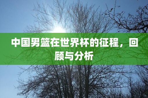 中漯河市盈旭机械设备有限公司国男篮在世界杯的征程，回顾与分析