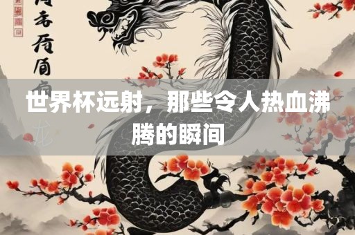 世界杯远射，那些令人热血沸腾的瞬间漯河市盈旭机械设备有限公司