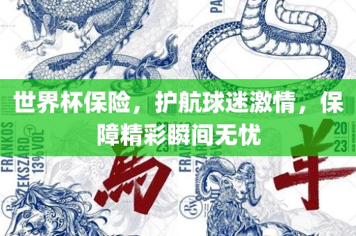 世界杯保险，护航球迷激情，保障精彩瞬间无忧漯河市盈旭机械设备有限公司
