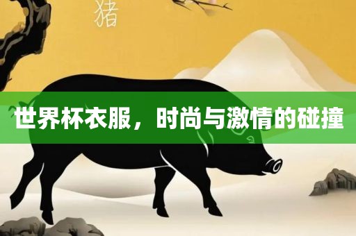 世界杯衣服，时尚与激情的碰撞漯河市盈旭机械设备有限公司