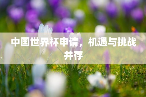 中国世界杯申请，机遇与挑战并存