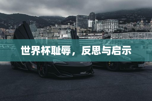 世界杯耻辱，反思与启示
