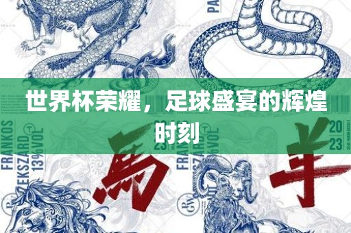 世界杯荣耀，足球盛宴的辉煌时刻漯河市盈旭机械设备有限公司