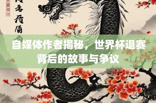 自媒体作者揭秘，世界杯退赛背后的故事与争议漯河市盈旭机械设备有限公司