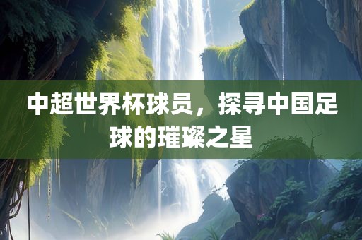 中超世界杯球员，探寻中国足球的璀璨之星漯河市盈旭机械设备有限公司