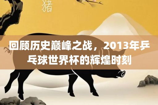 回顾历史巅峰之战，2013年乒乓球世界杯的辉漯河市盈旭机械设备有限公司煌时刻