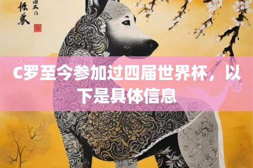 C罗至今参加过四届世界杯，以下是具体信息