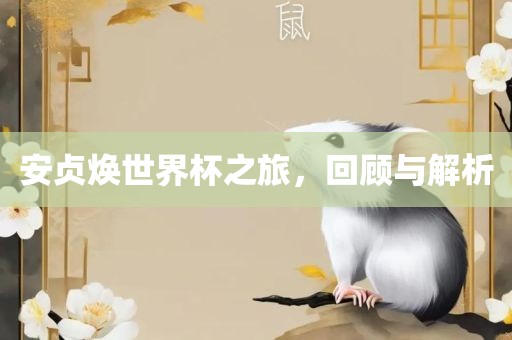 安贞焕世界杯之旅，回顾与解析
