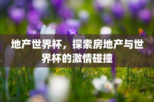 地产世界杯，探索房地产与世界杯的激情碰撞