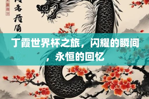 丁霞世界杯之旅，闪耀的瞬间，永恒漯河市盈旭机械设备有限公司的回忆
