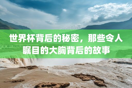 世界杯背后的秘密，那些令人瞩目的大胸背后的故事漯河市盈旭机械设备有限公司