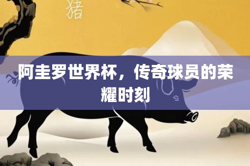 阿圭罗世界杯，传奇球员的荣耀时刻