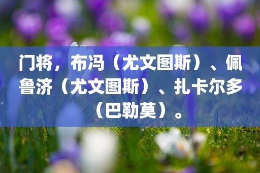 门将，布冯（尤文图斯）、佩鲁济（尤文图斯）、扎卡尔多（巴勒莫）。