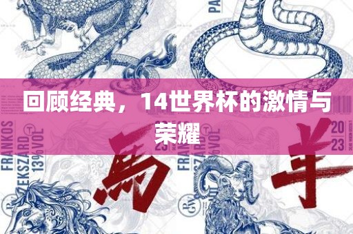 回顾经典，14世界杯的激情与荣耀漯河市盈旭机械设备有限公司