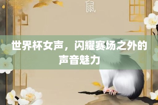 世界杯女声，闪耀赛场之外的声音魅力漯河市盈旭机械设备有限公司