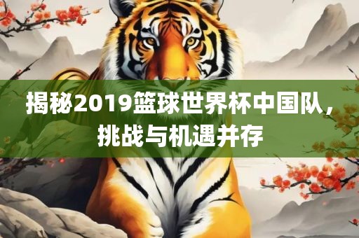 揭秘2019篮球世界杯中国队，挑战与机遇并存