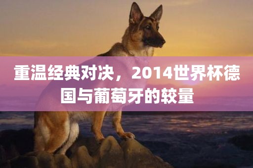 重温经典对决，2014世界杯德国与葡萄牙的较量