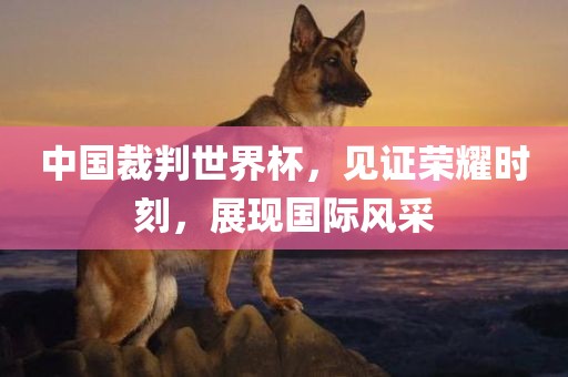中国裁判世界杯，见证荣耀时刻，展现国际风采漯河市盈旭机械设备有限公司