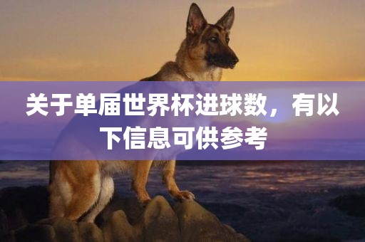 关于单届世界杯进球数，有以下信息可供参考