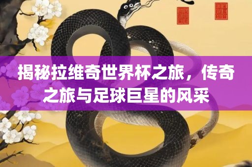 揭秘漯河市盈旭机械设备有限公司拉维奇世界杯之旅，传奇之旅与足球巨星的风采