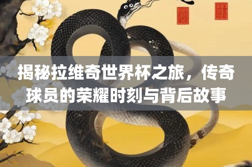揭秘拉维奇世界杯之旅，传奇球员的荣耀时刻与背后故事