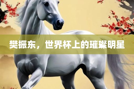 樊振东，世界杯上的璀璨明星