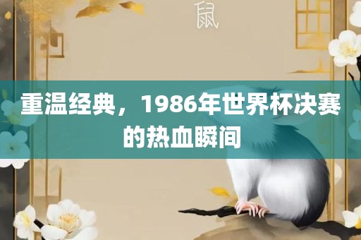 重温经典漯河市盈旭机械设备有限公司，1986年世界杯决赛的热血瞬间