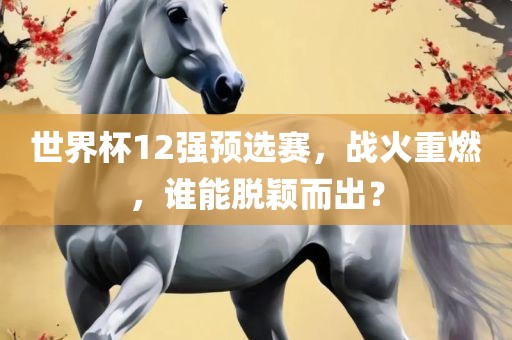 世界杯12强预选赛，战火重燃，谁能脱颖而出？