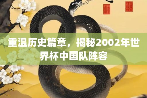 重温历史篇章，揭秘2002年世界杯中国队阵容