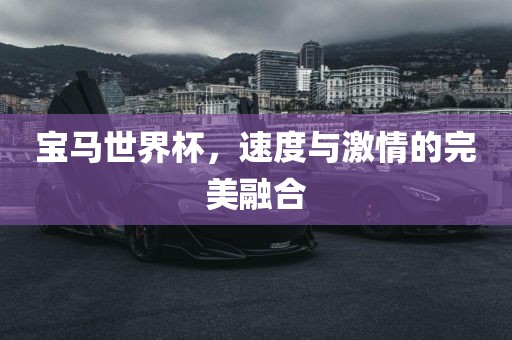 宝马世界杯，速度与激情的完美融合