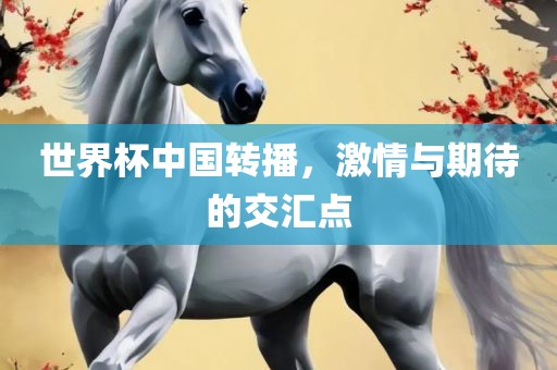 世界杯中国转播，激情与期待的交汇点漯河市盈旭机械设备有限公司
