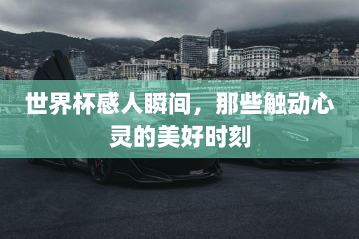 世界杯感人瞬间，那些触动心灵的美好时刻漯河市盈旭机械设备有限公司