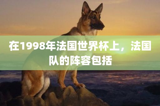 在1998年法国世界杯上，法国队的阵容包括漯河市盈旭机械设备有限公司